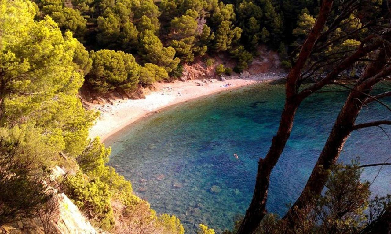 Splendido Studio, Vista Mare, A 5Mn Dalla Spiaggia - Casa Artevida Roses Eksteriør bilde