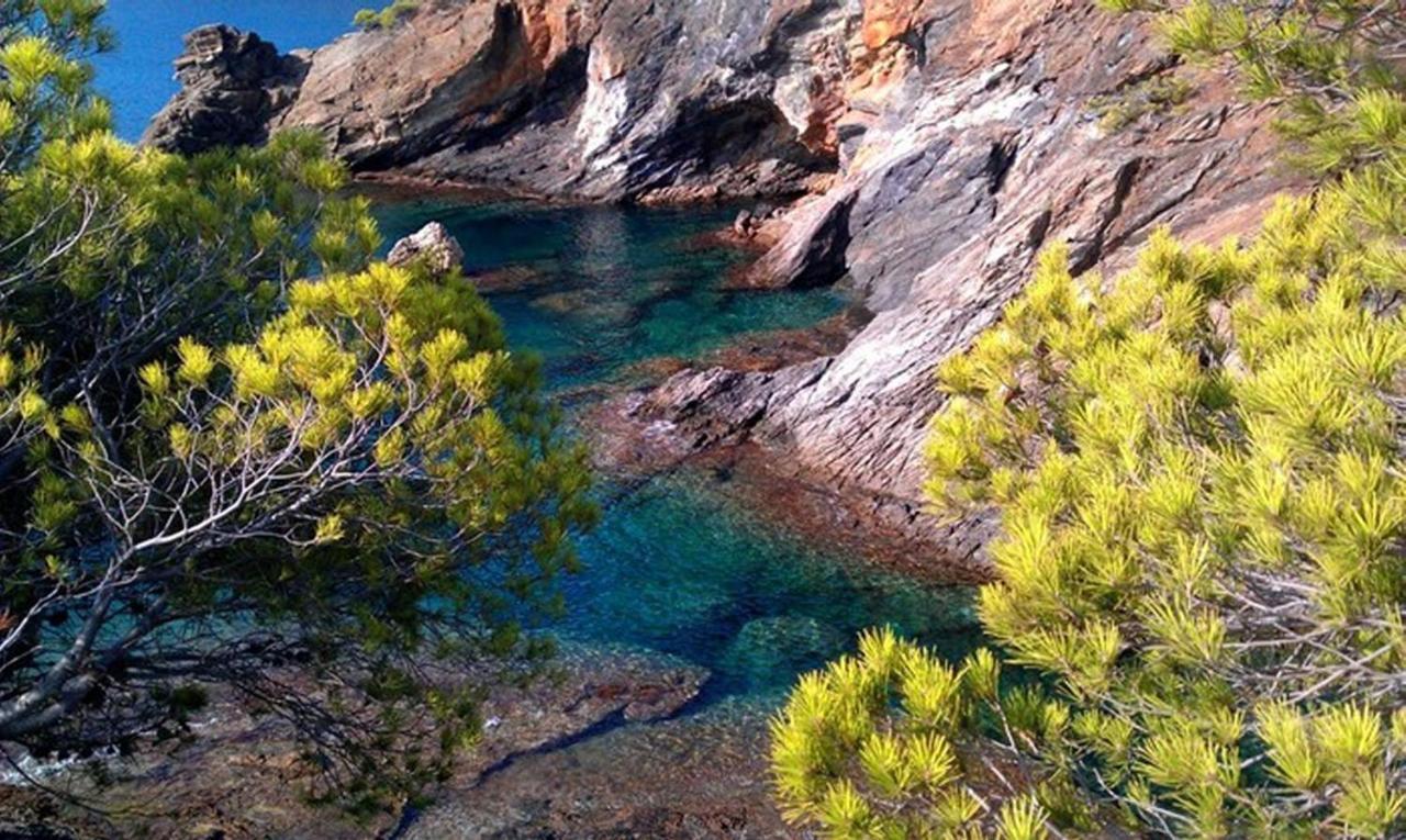 Splendido Studio, Vista Mare, A 5Mn Dalla Spiaggia - Casa Artevida Roses Eksteriør bilde